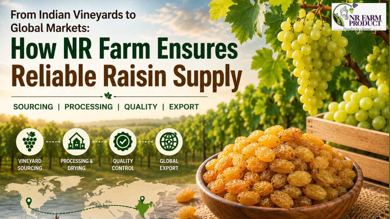 From Indian Vineyards to Global Markets: How NR Farm Ensures Reliable Raisin Supply