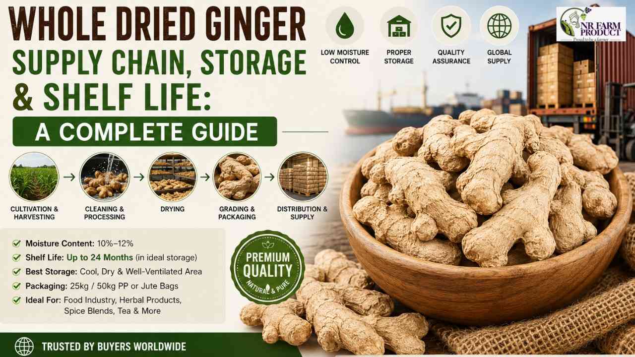 Whole Dried Ginger Supply Chain, Storage & Shelf Life: A Complete Guide