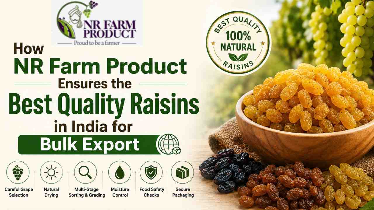 How NR Farm Product Ensures the Best Quality Raisins in India for Bulk Export