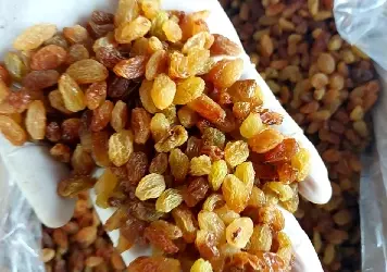 Malayar  AAA Raisins
