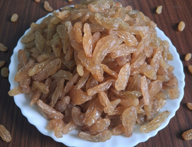 Long Nashik Golden
